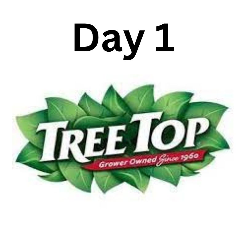 tree-top-day-1-logo-rabin-worldwide