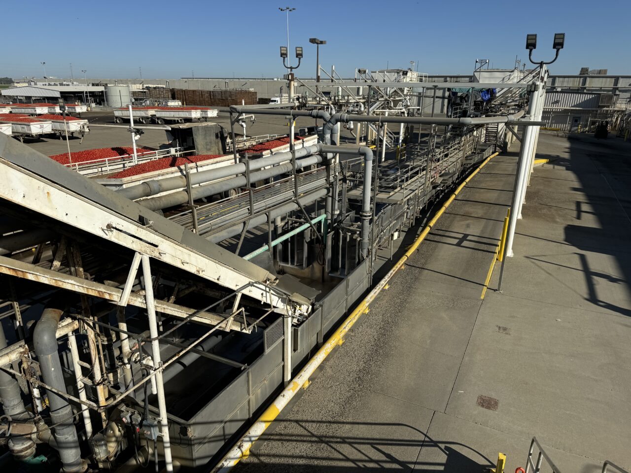 160-4206-rabin-worldwide