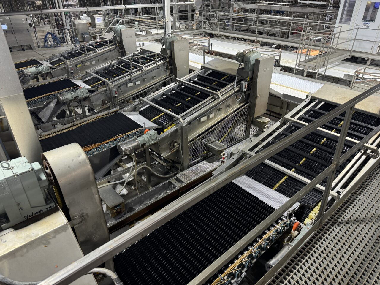 171-4206-rabin-worldwide