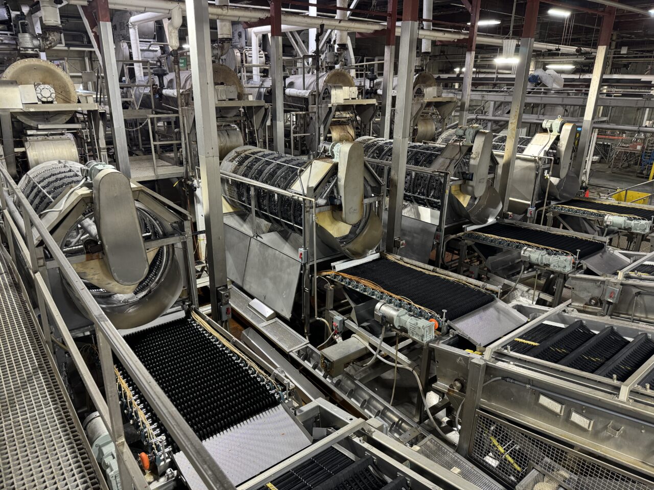 172-4206-rabin-worldwide