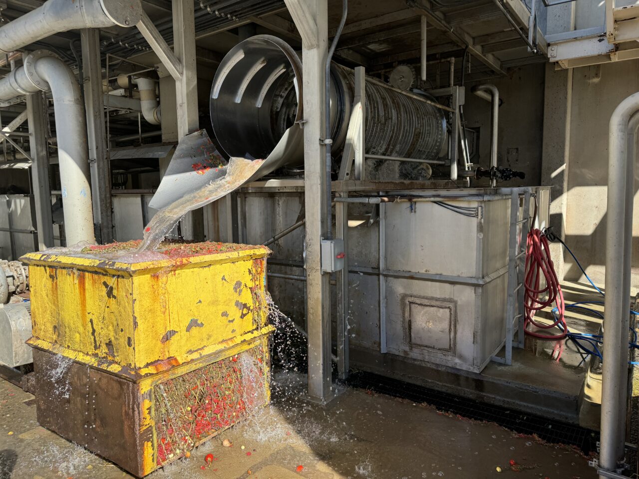 175-4206-rabin-worldwide