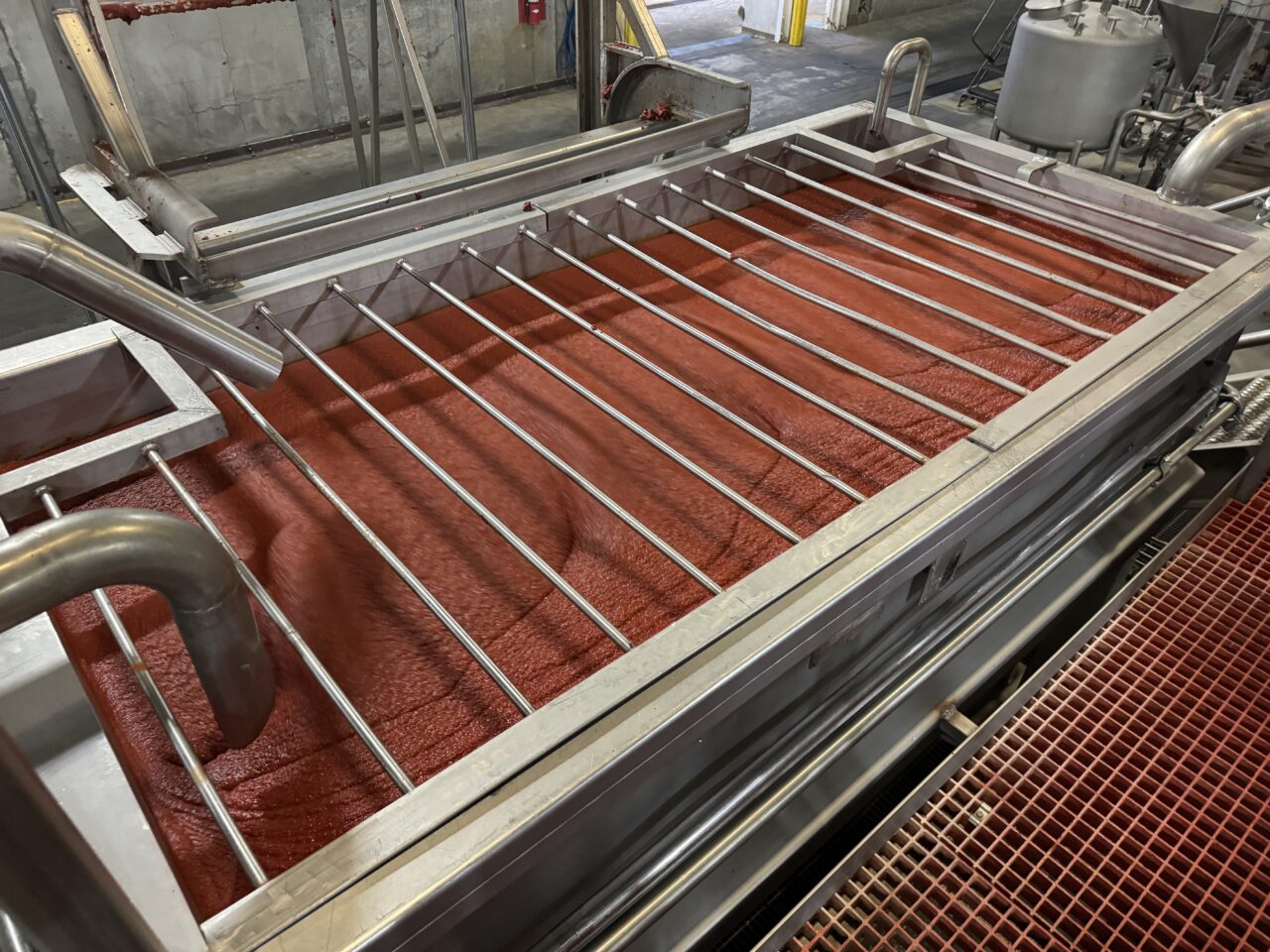 41-4206-rabin-worldwide