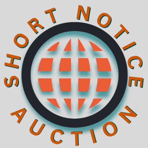 9sit-web-icon-rabin-worldwide