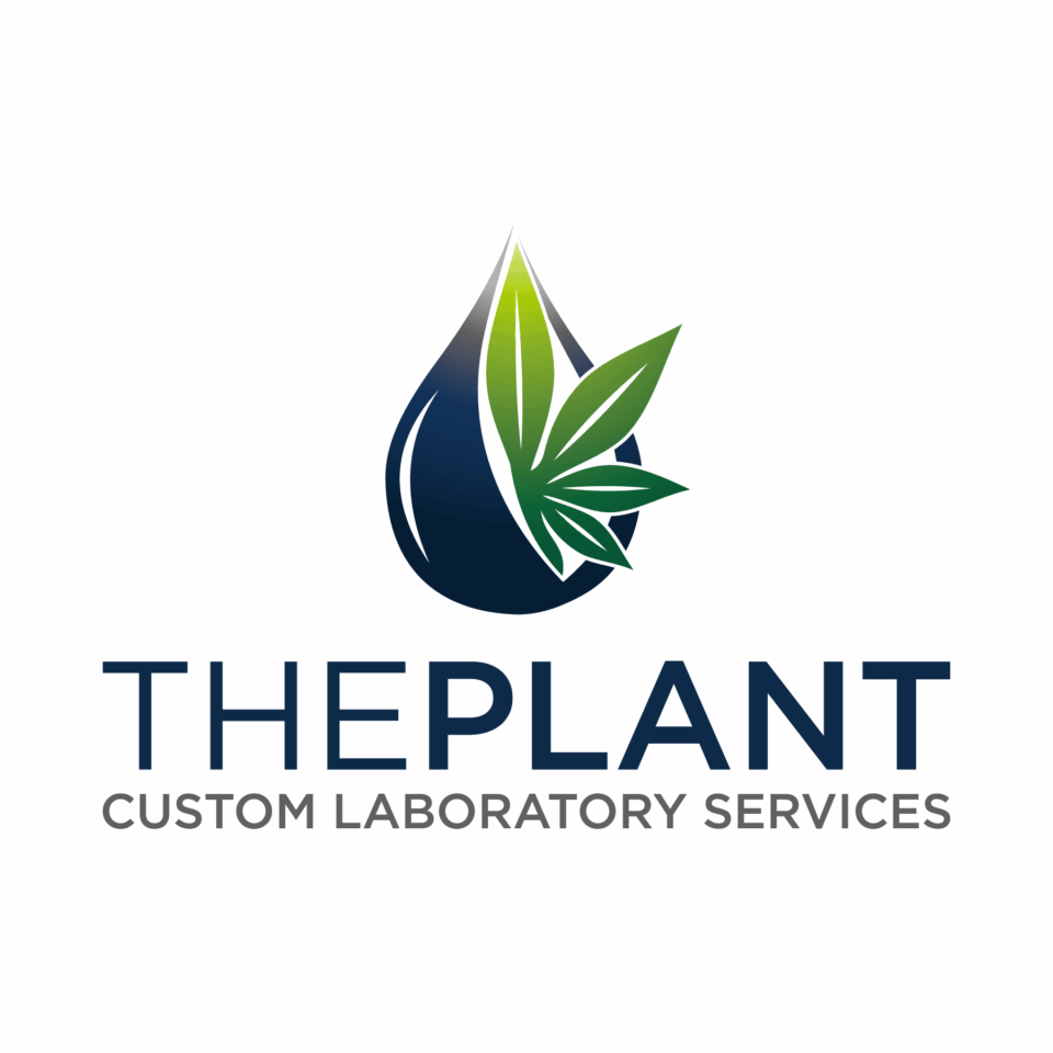 logo1-transparency-rabin-worldwide