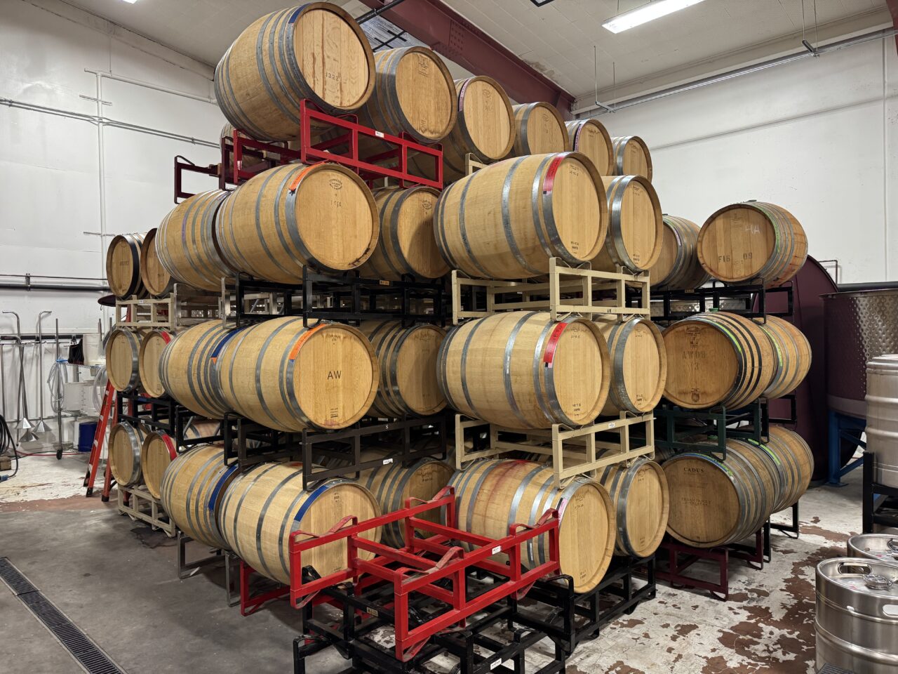 68-4208-rabin-worldwide