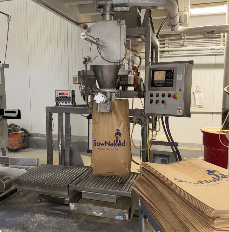 100-17-rabin-worldwide