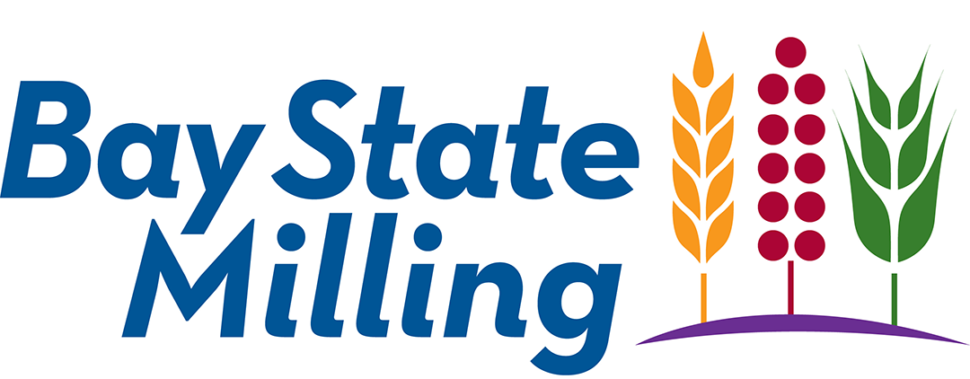 bsm-logo-stacked-fullcolor-rabin-worldwide